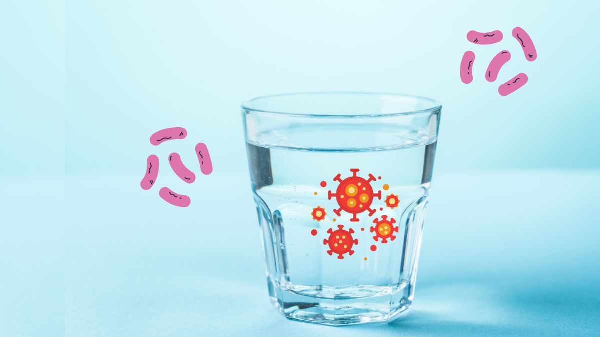 bakteri dalam air minum