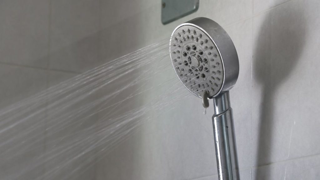 penyebab shower head cepat mampet
