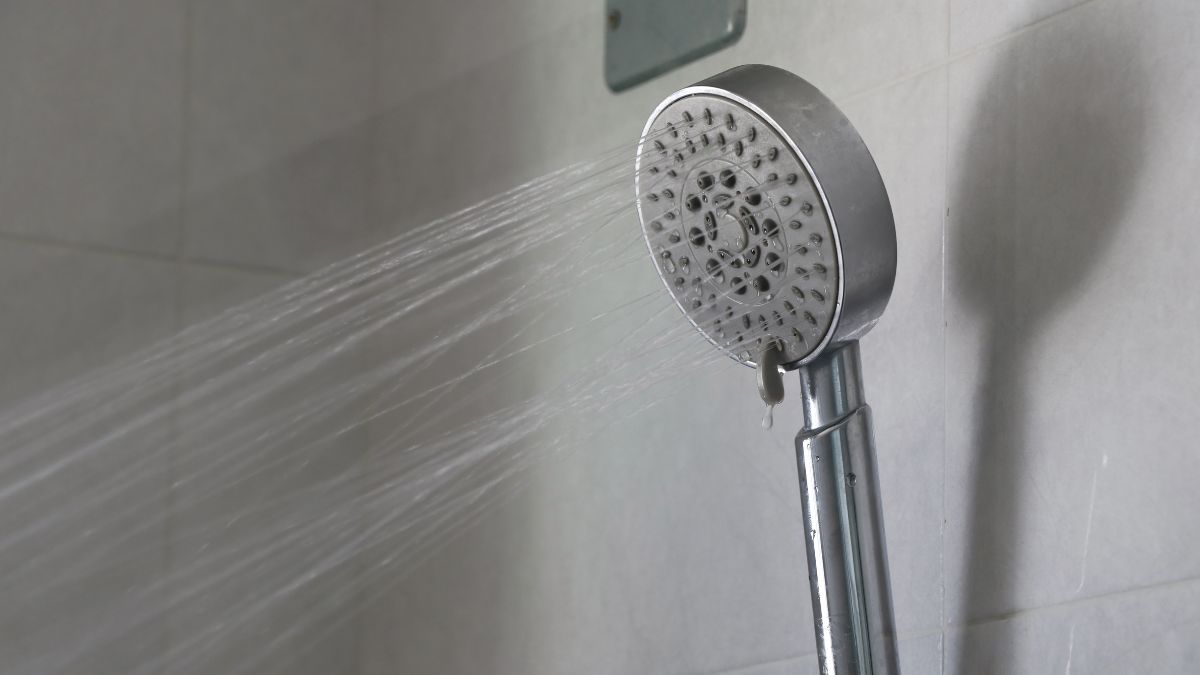 penyebab shower head cepat mampet